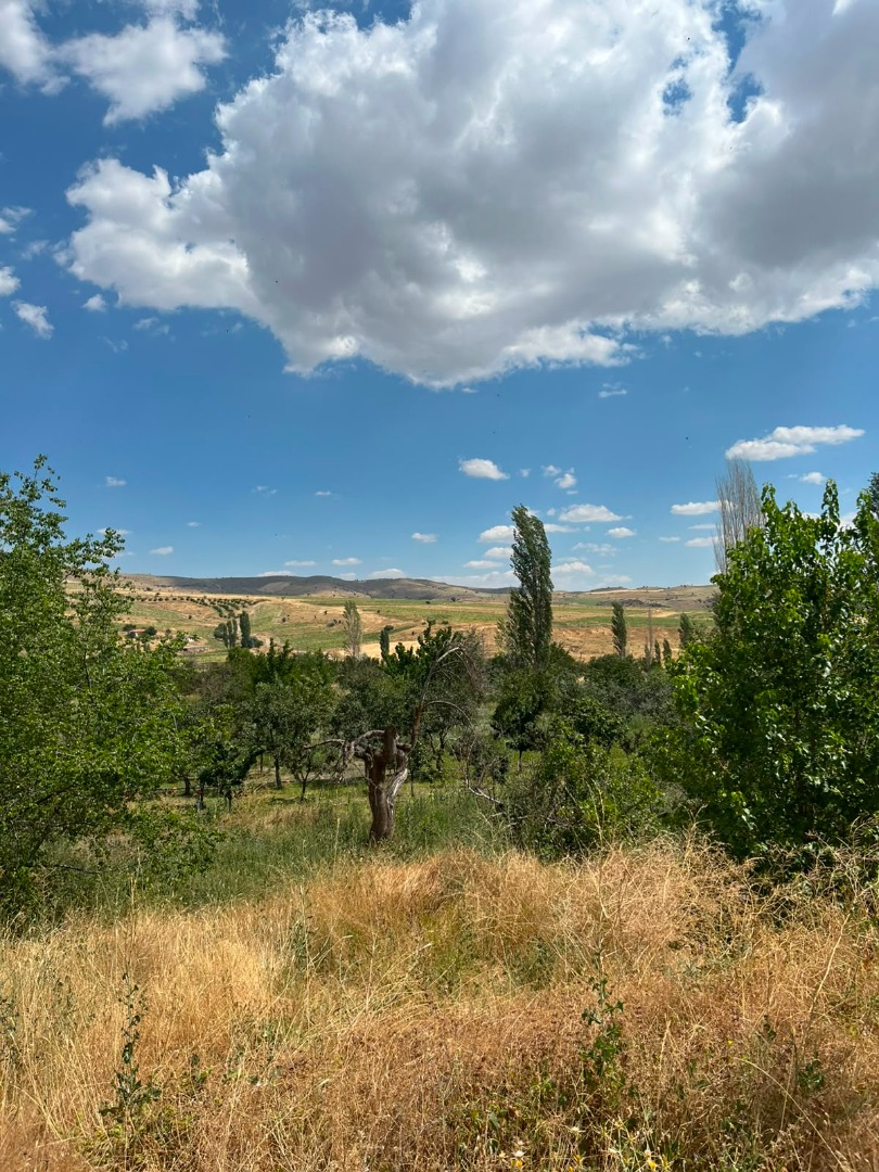 KAYSERİ DEVELİ ÇOMAKLI MAHALLESİNDE SATILIK TARLA